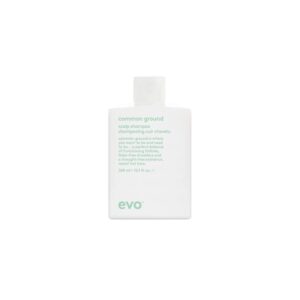 evo – Common ground scalp shampoo 300ml