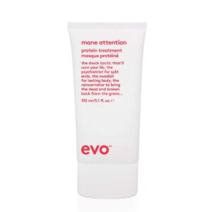 evo – Mane attention treatment 150ml