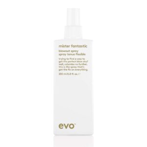 evo – Mister fantastic blowout 200ml