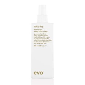 evo – Salty dog salt spray 200ml